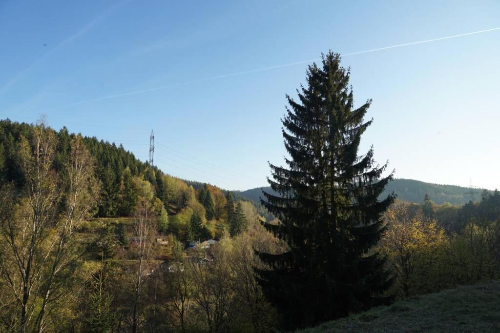 Ferienhaus Hellaberg Langenbach  Exterior foto